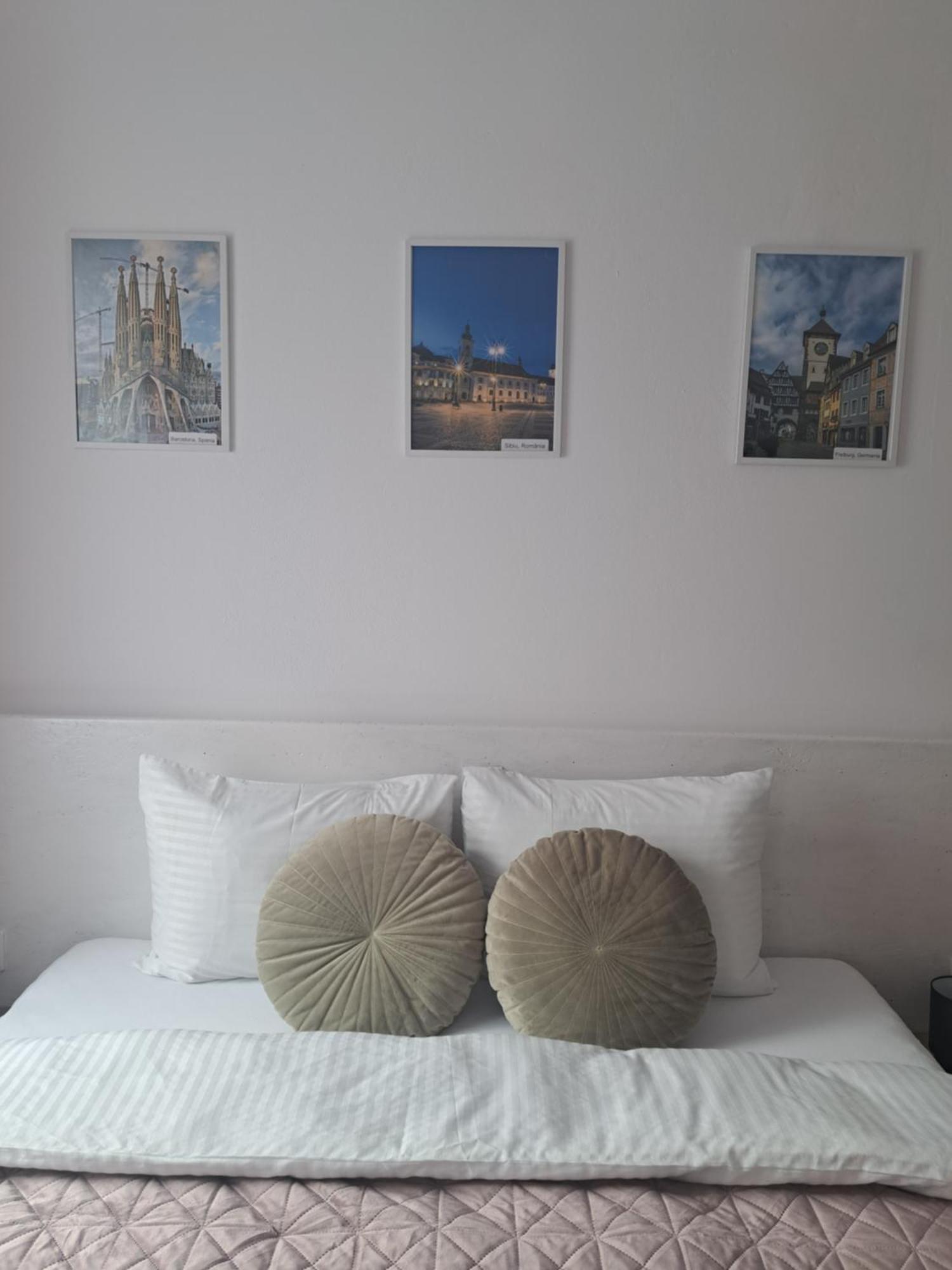 Studio With Free Parking In The Center - Deliamo 3 Sibiu Esterno foto